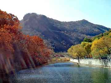 澳门二四六天天彩图库，普拉多论坛